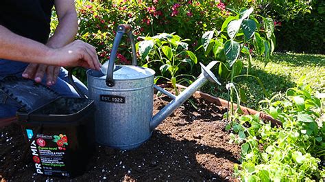 How To Use Fertilizers When Growing Vegetables Gardening