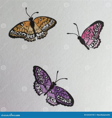 Three Butterflies Pen And Ink Drawing Stock Illustration Illustration