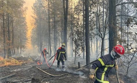 Incendie Dans La Forêt De Brocéliande La Progression Des Flammes En