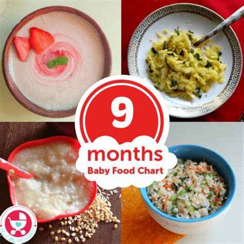 8 months baby food chart with indian recipes – Artofit