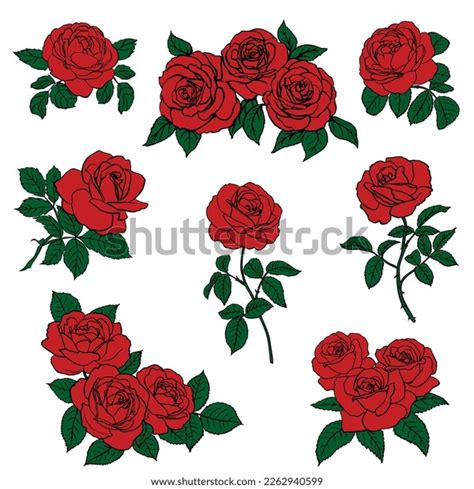 Set Red Rose Sketch Isolated On Stock Vector (Royalty Free) 2262940599 ...