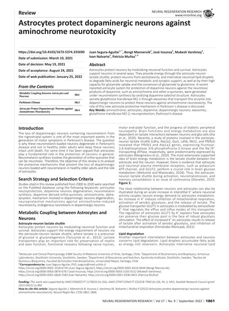 Pdf Astrocytes Protect Dopaminergic Neurons Against Aminochrome