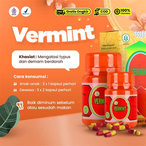 Jual Vermint Kapsul Obat Cacing Typus Tipes Menaikan Trombosit