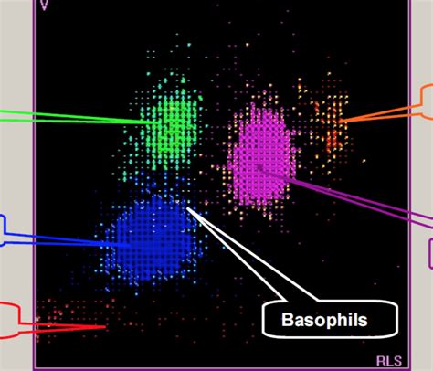 practical 2 Diagram | Quizlet 