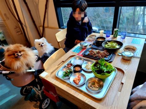 하남시청맛집 검단산맛집 가성비 좋고 분위기 좋은 하남애견동반식당 착한쌈밥 네이버 블로그