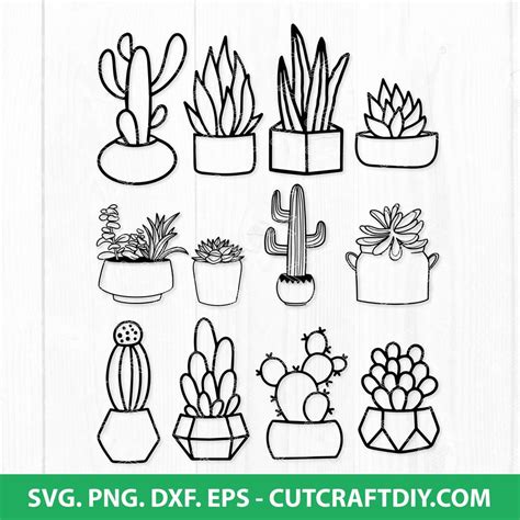 Succulent Svg Bundle Succulent Clipart Cactus Svg Plant Svg Cacti Svg