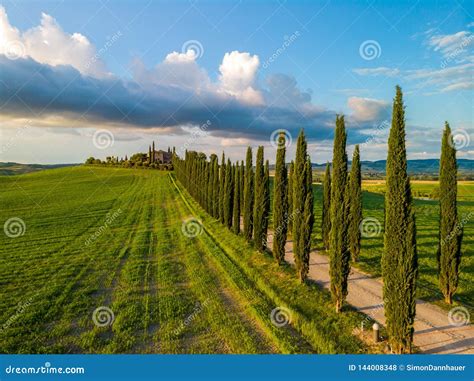 Beautiful Landscape Scenery Of Tuscany In Italy Cypress Trees Along