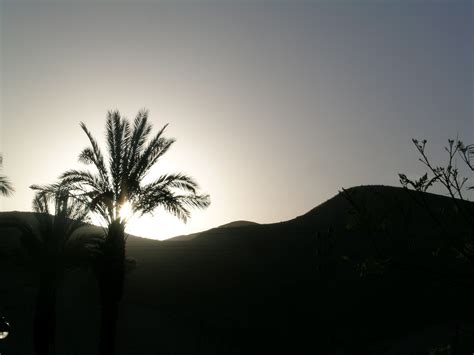 FINANCIAL PLANNING AND YOUR SUMMER VACATION - Lighthouse Capital