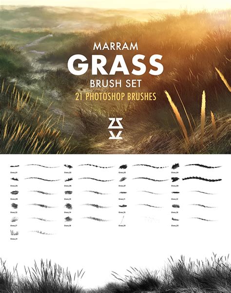 Texture Brushes Photoshop Brosses Photoshop Photoshop Design