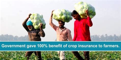 Crop Insurance Scheme Government Gave Benefit Of Crop Insurance