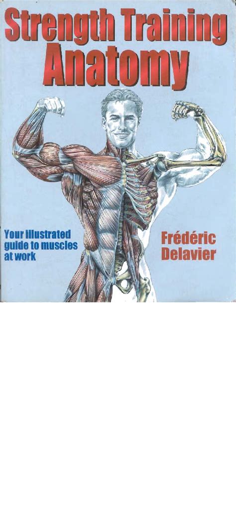 strength training anatomy  xfwkz