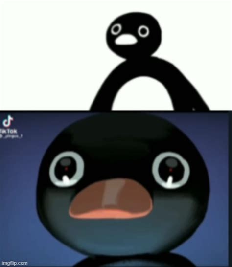 pingu Blank Template - Imgflip