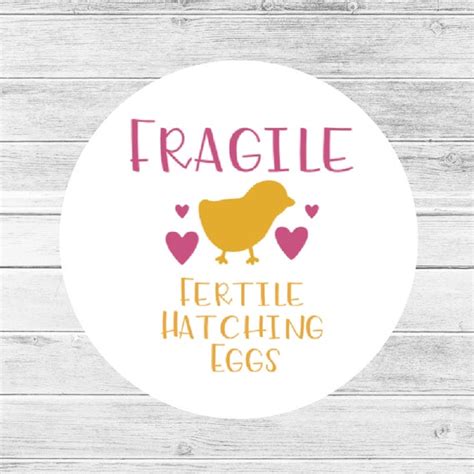 Hatching Egg Label Fragile Egg Stickers Chicken Lover T Etsy