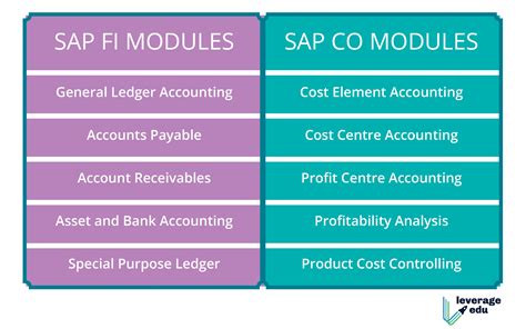 Sap Fico Leverage Edu