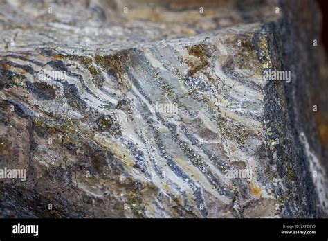 Naturally formed geological formation shale close-up Stock Photo - Alamy