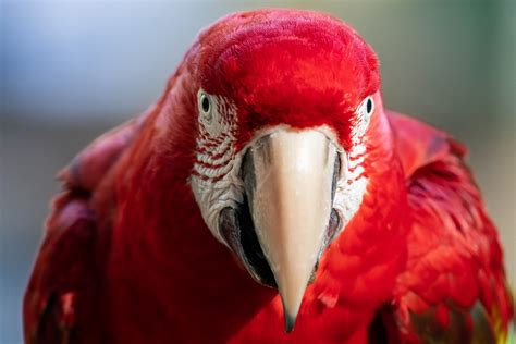 Der Start Unserer Zweiten Fotoreise Durch Brasilien Benny Rebel