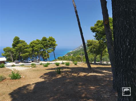 Oasis Taverna Lefkada