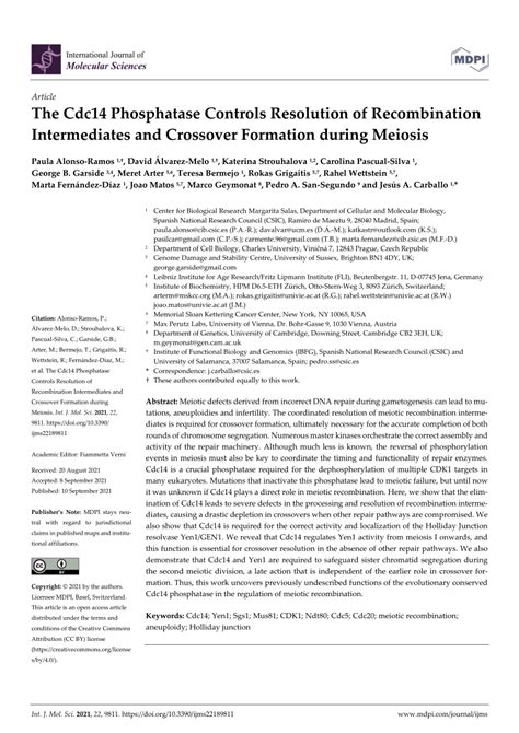 PDF The Cdc14 Phosphatase Controls Resolution Of Recombination