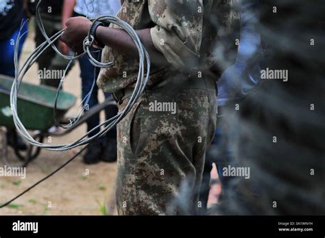 Honorary rangers in the Kruger National Park work with the authorities ...