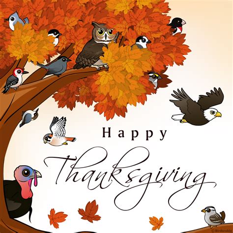 Birdorable Timeline Photos Thanksgiving Cards Happy Thanksgiving