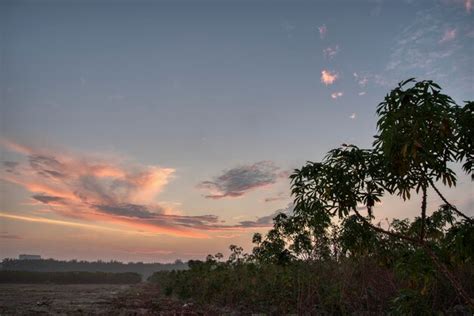 Premium Photo | Colorful sky at the open field landscape scene