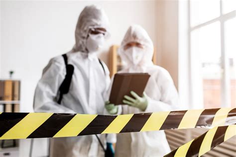 Asbestos Removal Brisbane Your Comprehensive Local Guide Icon