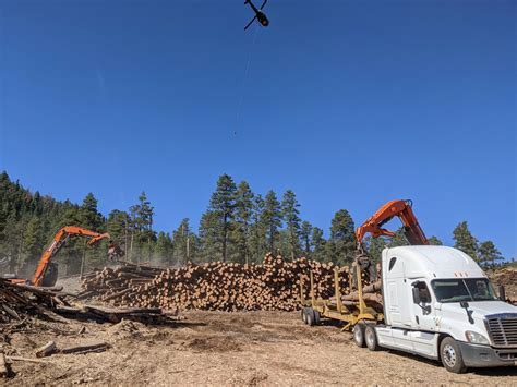 Restoring Bill Williams Mountain National Forest Foundation