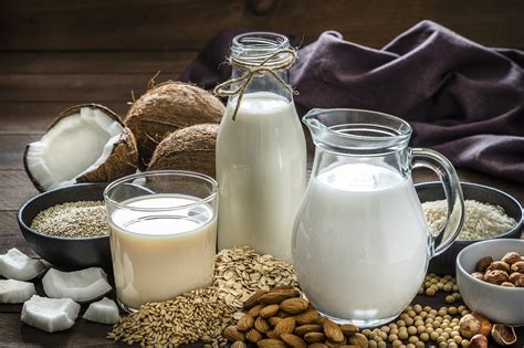 Vegane Milch: Fakten, Wissen und Optionen im Überblick