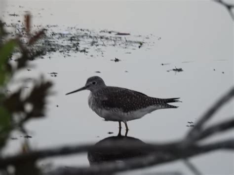 Long island audit results change how police view filming 23