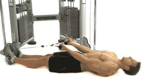 Todo Sobre El Curl De BÍceps GuÍa De Ejercicios De MusculaciÓn