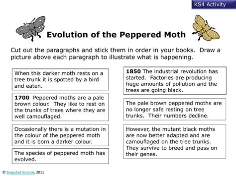 Peppered Moth Snapshot Science