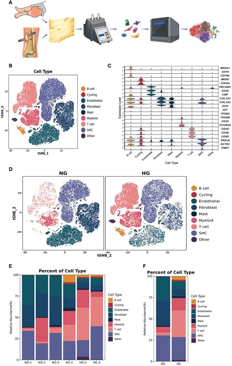 Frontiers Single Cell Rna Seq Reveals Cellular Heterogeneity From