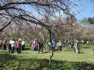 PARQUES SUSTENTÁVEIS Sustainable Urban Parks Parques Urbanos