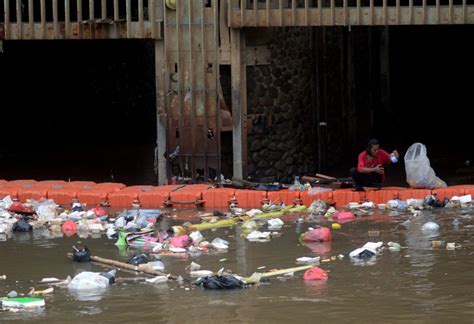 Sampah Plastik Di Pintu Air Manggarai Teritorial