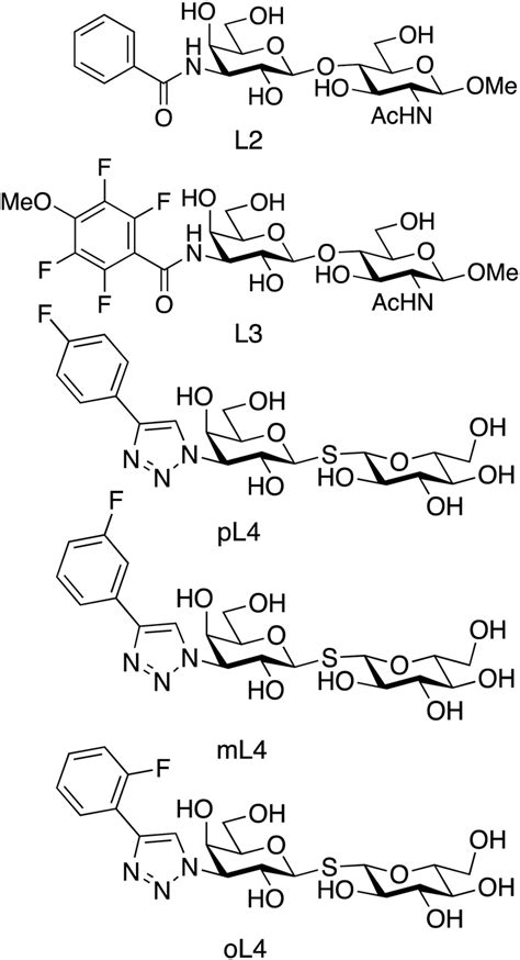 Mapping The Energy Landscape Of Proteinligand Binding Via Linear Free