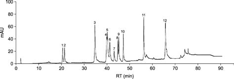 Typical Hplc Chromatogram Of Ginsenoside Standards Analyzed At