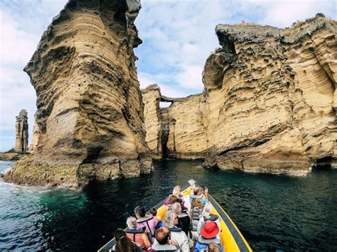 Azores Whale Watching Terra Azul Precios Y Reservas