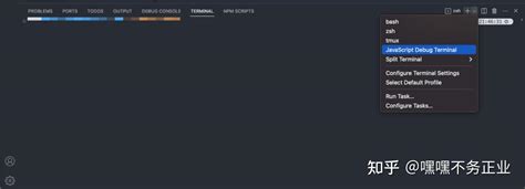 Node 调试利器，前端、node 开发必备 Vscode Js Debug Terminal 知乎