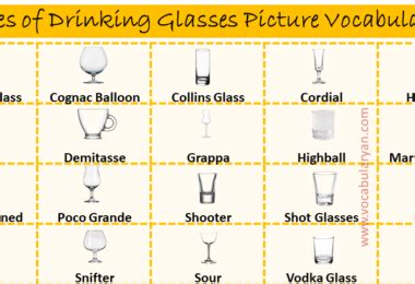 35 Different Types of Drinking Glasses & Their Uses Archives – VocabularyAN