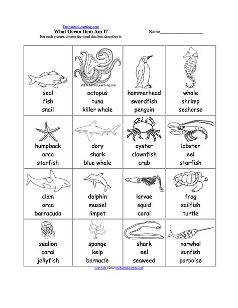 Sea Animals Live Worksheet Printable Worksheets And Activities For