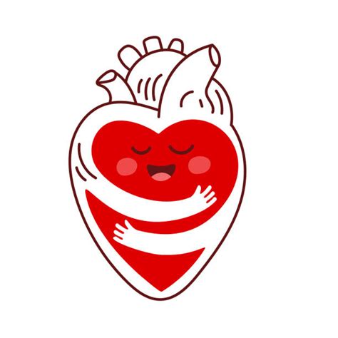 Cartoon Of A Anatomic Heart Illustrations Royalty Free Vector Graphics