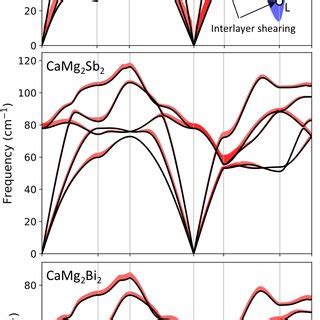 Lattice Dynamics And Elastic Properties Of Mg As And Mg Sb Compounds