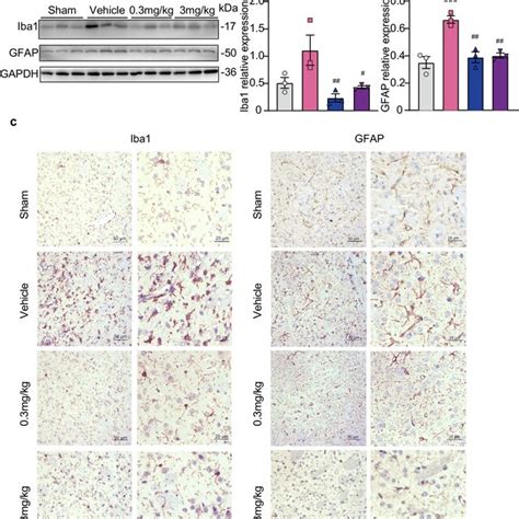 Ozanimod Inhibited Microglial And Astrocytic Activation In The Brain