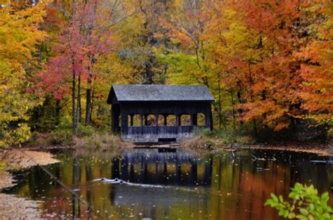 Discover the Covered Bridges of Bucks County | Bucks Happening