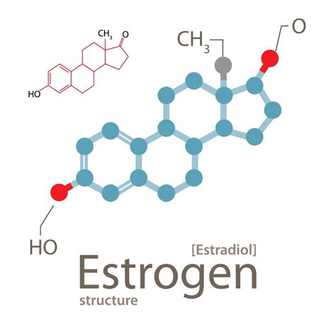 The Role Of Estrogen In Mens Health Bioidentical News