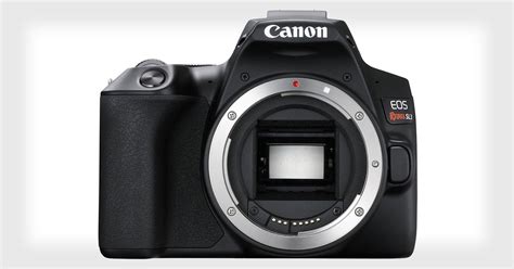 Canon Rebel Sl A Tiny Dslr With K Dual Pixel Af And Eye Detection