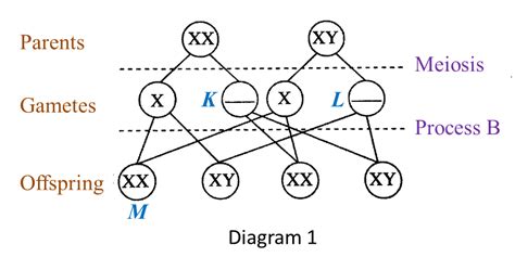 Heredity And Variation Users Blog