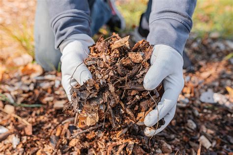 Residuos agrícolas recomendaciones para el correcto manejo