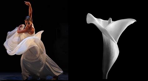 Онлайн-контемпорари on Behance