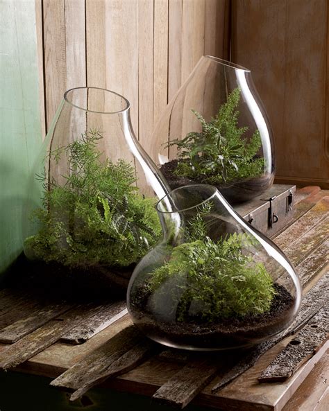 Terrarium Indoor Garden Planter